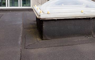 disadvantages of Winterbourne Gunner flat roofs