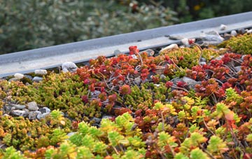 the cost of Winterbourne Gunner green roof installation
