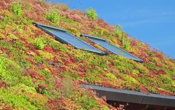Winterbourne Gunner living roof systems