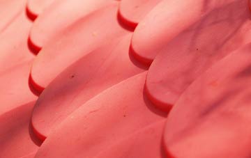 Winterbourne Gunner plastic roof costs